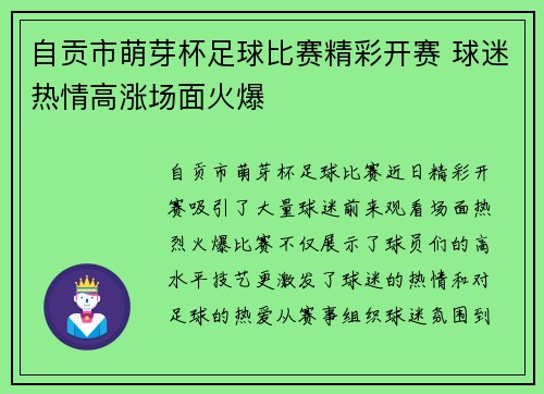 自贡市萌芽杯足球比赛精彩开赛 球迷热情高涨场面火爆